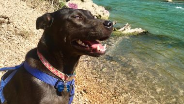 Lulu in San Marcos, TX