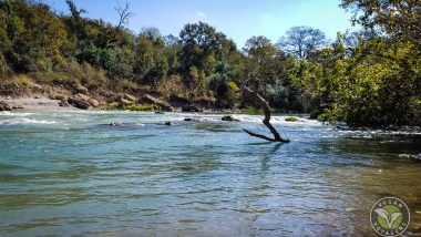 San Marcos River