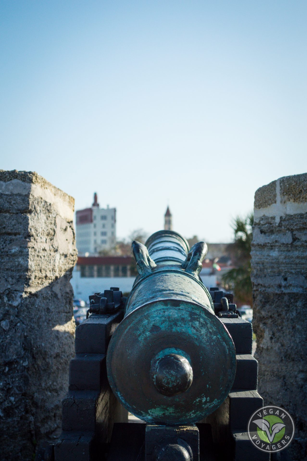 st-augustine-cannon-on-top-of-fort - Vegan Voyagers