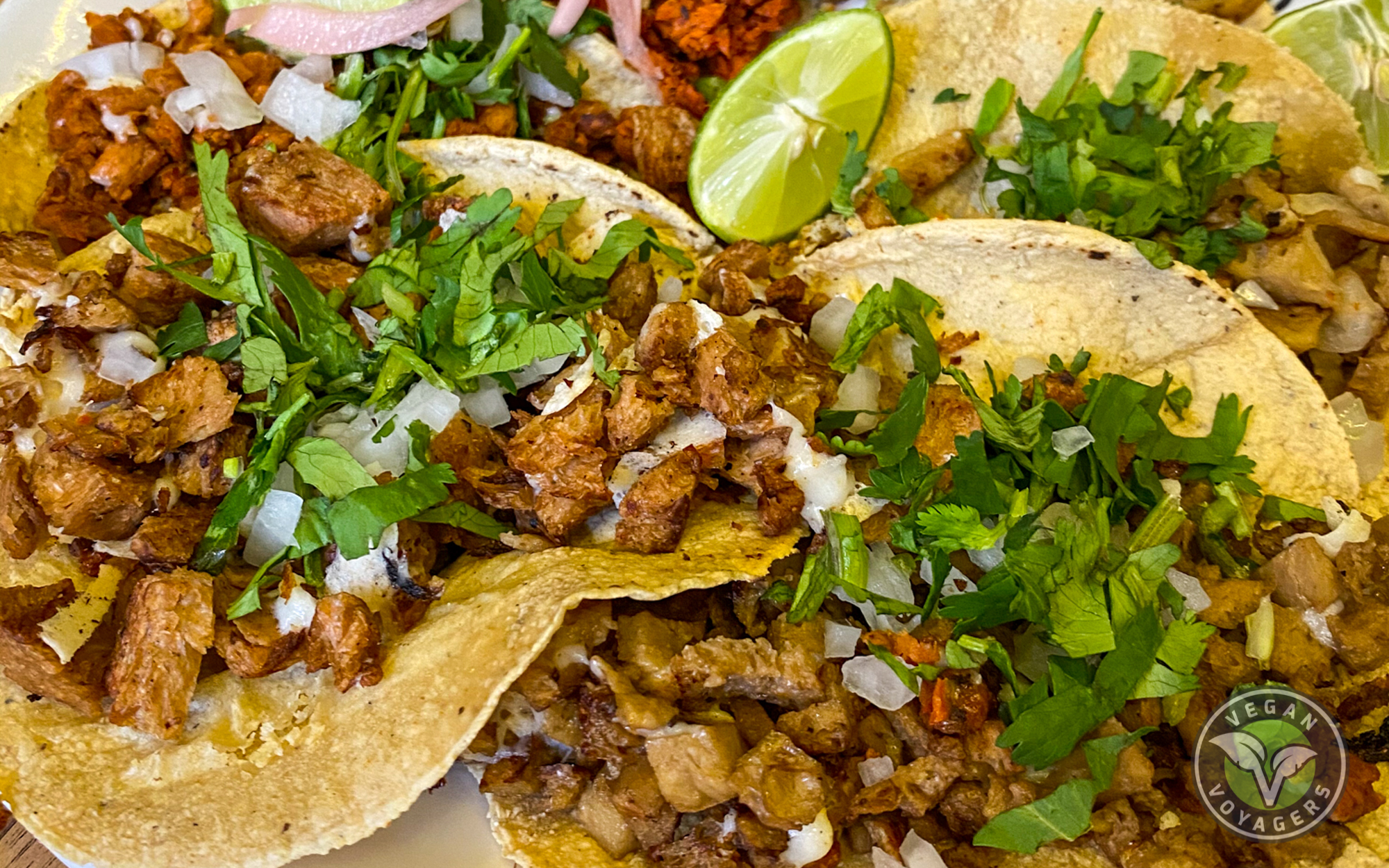 Gold Taco | Vegan Guide to Mexico City